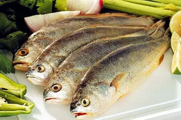 怎么挑選新鮮的黃魚(yú) 黃魚(yú)是黃花魚(yú)嗎