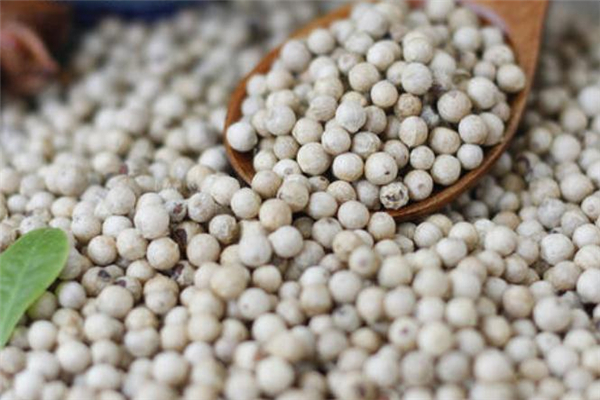 白胡椒可以每天吃嗎 白胡椒吃多了會怎樣