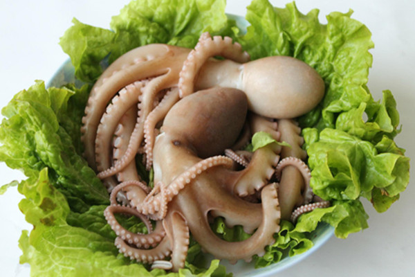 水煮八爪魚要幾分鐘 八爪魚頭部內(nèi)臟能吃嗎 水煮八爪魚要幾分鐘 八爪魚頭部內(nèi)臟能吃嗎