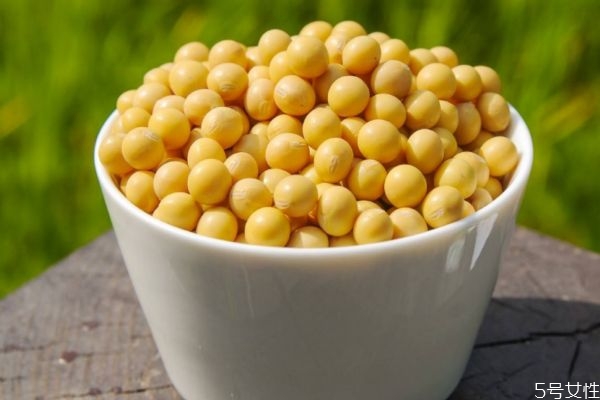 大豆有什么營養(yǎng)價(jià)值呢 吃大豆有什么好處呢 大豆有什么營養(yǎng)價(jià)值呢 吃大豆有什么好處呢