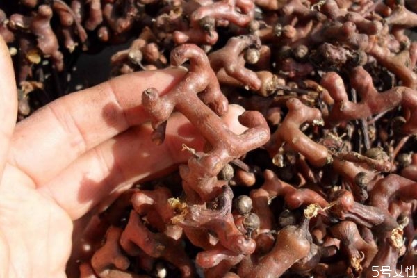 雞爪果可以泡酒嗎 雞爪果泡酒有什么功效 雞爪果可以泡酒嗎 雞爪果泡酒有什么功效