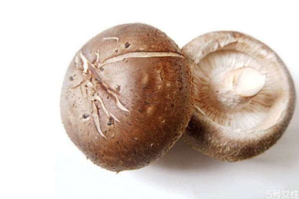新鮮香菇為什么有酸味 新鮮香菇怎么洗