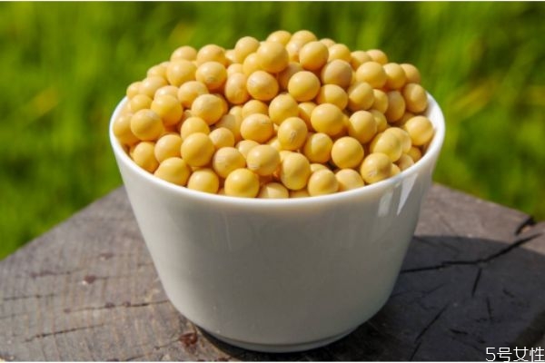 黃豆有什么營養(yǎng)價(jià)值 吃黃豆注意什么