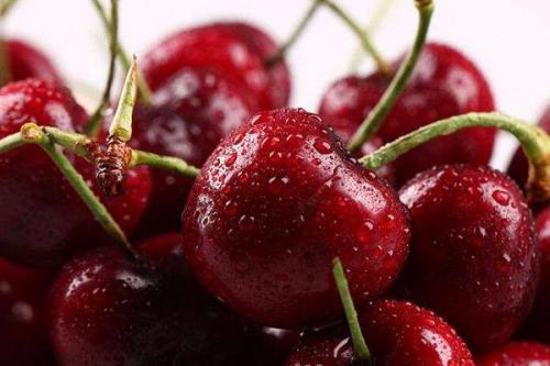 車厘子壞了是什么味道 車厘子變質(zhì)了是怎樣的