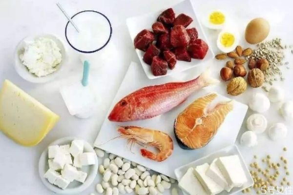 為什么需要補充蛋白質呢 喝蛋白質粉有什么好處