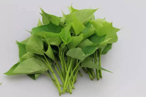 紅薯葉有減肥功效嗎 紅薯葉怎么做減肥 紅薯葉有減肥功效嗎 紅薯葉怎么做減肥