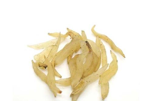 天冬是什么 天冬和天門冬的區(qū)別