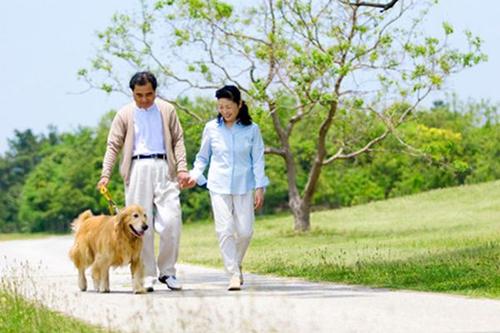 早晨在樹(shù)林散步好嗎 早晨幾點(diǎn)散步最好