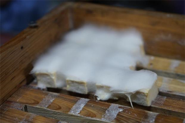 毛豆腐什么人不能吃 孕婦能吃毛豆腐嗎 毛豆腐什么人不能吃 孕婦能吃毛豆腐嗎