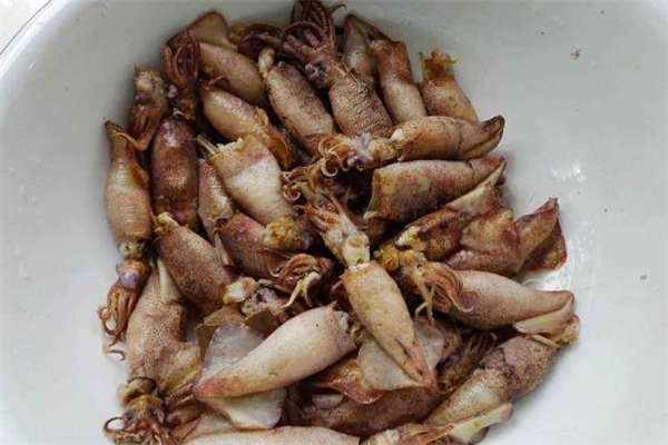 墨魚什么時(shí)候吃最好 墨魚搭配什么一起吃最好