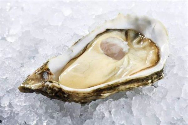 開(kāi)殼的生蠔怎么清洗 沒(méi)開(kāi)殼的生蠔怎么洗 開(kāi)殼的生蠔怎么清洗 沒(méi)開(kāi)殼的生蠔怎么洗