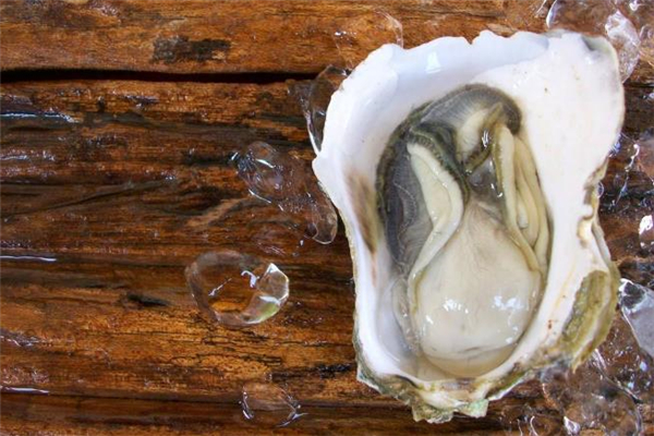 生蠔生吃是什么味道 生蠔生吃有營(yíng)養(yǎng)嗎