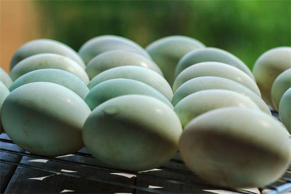 咸鴨蛋7天能腌好嗎 咸鴨蛋怎么快速腌制好 咸鴨蛋7天能腌好嗎 咸鴨蛋怎么快速腌制好