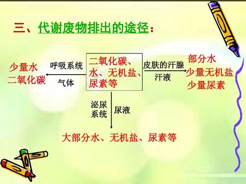 人體中含有尿素嗎 尿素過高有什么影響