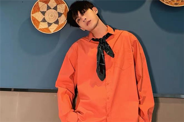 休閑襯衫什么顏色好看 休閑襯衫流行什么顏色 休閑襯衫什么顏色好看 休閑襯衫流行什么顏色