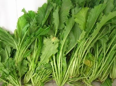 雪里紅為什么要腌制 雪里紅要腌制多長時(shí)間 雪里紅為什么要腌制 雪里紅要腌制多長時(shí)間