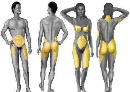 五百大卡是多少脂肪 脂肪燃燒的表現(xiàn) 五百大卡是多少脂肪 脂肪燃燒的表現(xiàn)