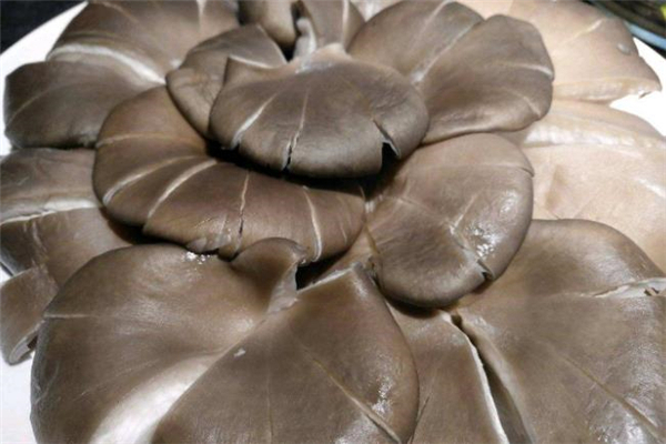 平菇可以冷凍保存嗎 平菇冷藏還是冷凍好 平菇可以冷凍保存嗎 平菇冷藏還是冷凍好