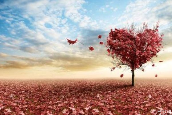 男人心里有你的表現(xiàn) 什么情況下說明男人心中有你 男人心里有你的表現(xiàn) 什么情況下說明男人心中有你