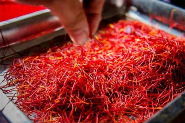 西紅花有副作用嗎 西紅花什么人不能吃 西紅花有副作用嗎 西紅花什么人不能吃