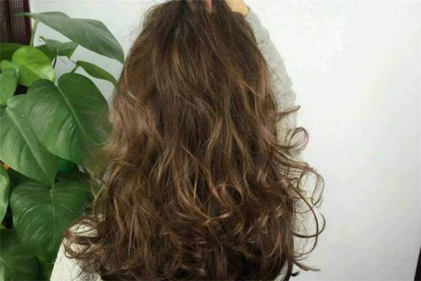 橄欖棕發(fā)色容易掉色嗎 橄欖棕在陽光下是什么顏色 橄欖棕發(fā)色容易掉色嗎 橄欖棕在陽光下是什么顏色