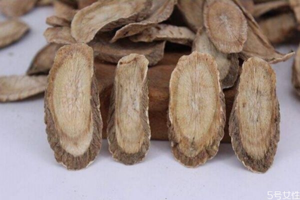 牛蒡根可以怎么吃 牛蒡根的食用注意 牛蒡根可以怎么吃 牛蒡根的食用注意