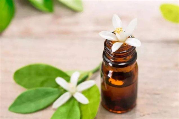 精油按摩減肥會(huì)反彈嗎 精油按摩減肥多久見效