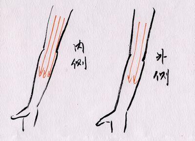 手臂刮痧可以減肥嗎 手臂刮痧的類型 手臂刮痧可以減肥嗎 手臂刮痧的類型