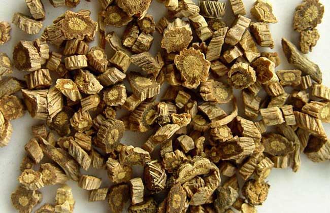 中藥防風是什么 防風的藥用價值 中藥防風是什么 防風的藥用價值