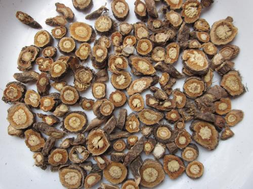 中藥防風是什么 防風的藥用價值 中藥防風是什么 防風的藥用價值