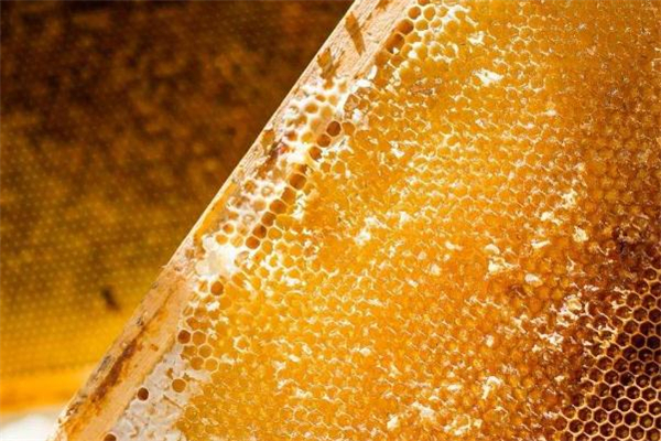 蜂膠什么牌子最好 蜂膠品牌排行榜 蜂膠什么牌子最好 蜂膠品牌排行榜