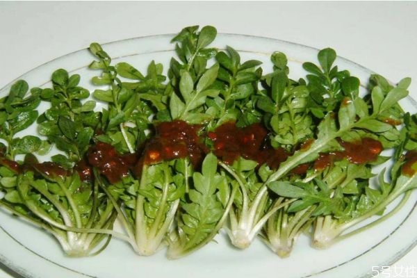 芥菜為什么會苦 芥菜苦的原因有什么 芥菜為什么會苦 芥菜苦的原因有什么