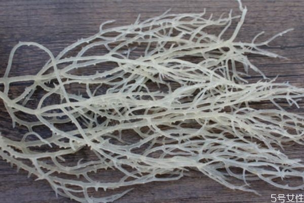 鮮鹿角可以怎么吃 鮮鹿角菜的簡(jiǎn)單做法 鮮鹿角可以怎么吃 鮮鹿角菜的簡(jiǎn)單做法