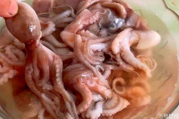 八爪魚煮多久會(huì)熟 八爪魚要煮多久