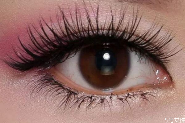 假睫毛會不會導致眼皮松 假睫毛貼久了眼皮會松嗎 假睫毛會不會導致眼皮松 假睫毛貼久了眼皮會松嗎