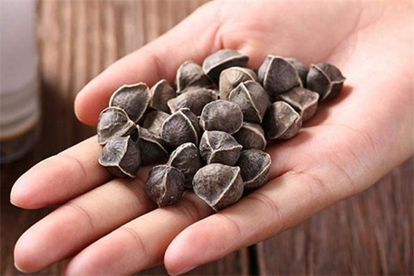 辣木籽每天吃幾粒合適 辣木籽每天吃30顆可以嗎 辣木籽每天吃幾粒合適 辣木籽每天吃30顆可以嗎