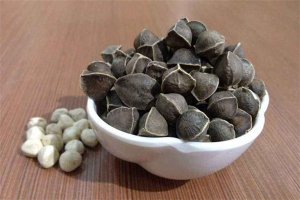 辣木籽不能和什么一起吃 辣木籽太苦了怎么吃 辣木籽不能和什么一起吃 辣木籽太苦了怎么吃