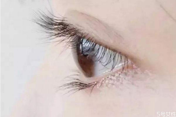 嫁接睫毛多長(zhǎng)好看 嫁接睫毛長(zhǎng)度怎么分配 嫁接睫毛多長(zhǎng)好看 嫁接睫毛長(zhǎng)度怎么分配