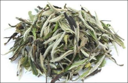 白毛茶有什么好處 白毛茶怎么泡 白毛茶有什么好處 白毛茶怎么泡