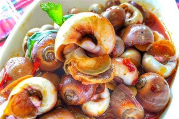 香螺能冷凍保存嗎 香螺可以放冰箱保鮮嗎 香螺能冷凍保存嗎 香螺可以放冰箱保鮮嗎