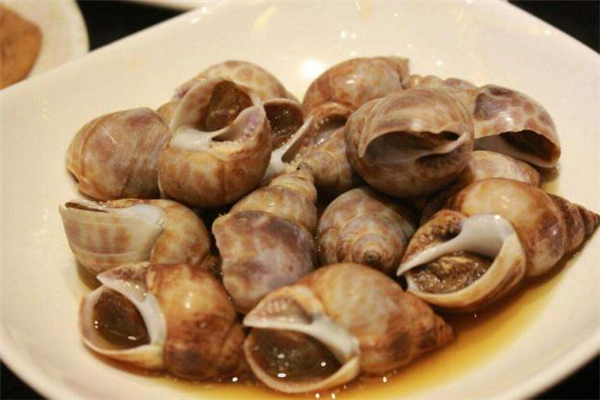 香螺能冷凍保存嗎 香螺可以放冰箱保鮮嗎 香螺能冷凍保存嗎 香螺可以放冰箱保鮮嗎