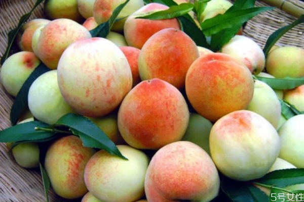 新鮮桃子怎么做罐頭 新鮮桃子做罐頭的方法 新鮮桃子怎么做罐頭 新鮮桃子做罐頭的方法