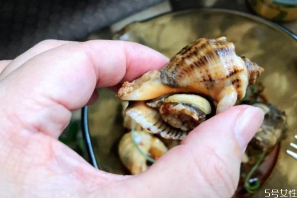 海螺要煮多久才會熟 一般海螺煮多久會熟 海螺要煮多久才會熟 一般海螺煮多久會熟