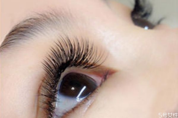 嫁接睫毛是粘在哪里 嫁接睫毛時(shí)滴膠和放置方法有講究 嫁接睫毛是粘在哪里 嫁接睫毛時(shí)滴膠和放置方法有講究