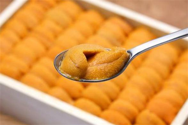 海膽沒(méi)有黃是為什么 海膽沒(méi)有黃能吃嗎 海膽沒(méi)有黃是為什么 海膽沒(méi)有黃能吃嗎