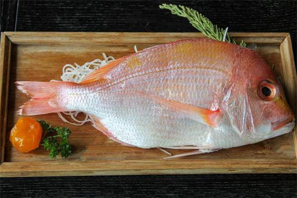 孕婦可以吃鯛魚嗎 鯛魚適合什么人吃 孕婦可以吃鯛魚嗎 鯛魚適合什么人吃
