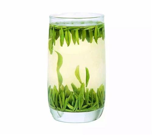 雀舌茶產于哪里 雀舌茶的特點