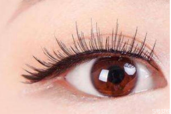 新手怎么買假睫毛 幾步快學(xué)貼假睫毛 新手怎么買假睫毛 幾步快學(xué)貼假睫毛