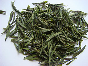 東白春芽產于哪里 東白春芽什么檔次 東白春芽產于哪里 東白春芽什么檔次