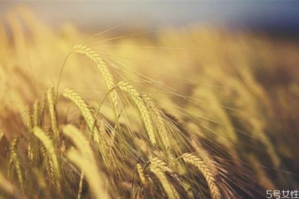 單身時間長了會有哪些表現 單身太久的五大癥狀 單身時間長了會有哪些表現 單身太久的五大癥狀